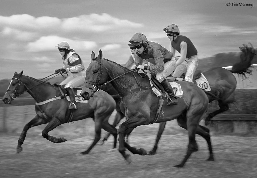 Point to point 110410_5.jpg